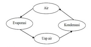 Apa Itu Peta Konsep, Jenis, Cara Membuat, & Contoh Peta Konsep