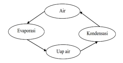 contoh peta konsep siklus