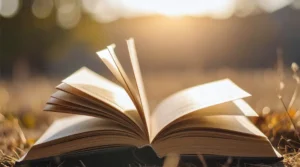 novel komedi