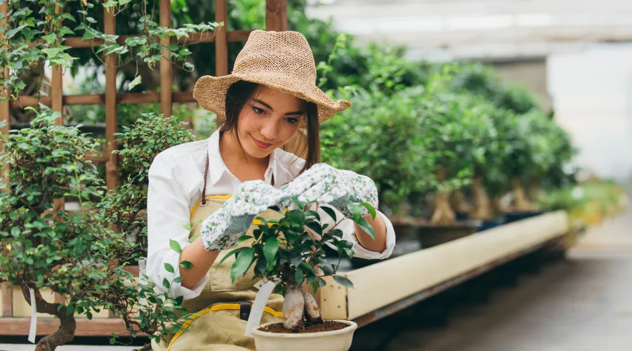 Berkebun