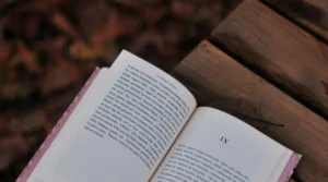 membuat kerangka novel