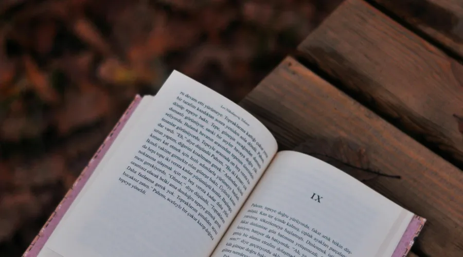 membuat kerangka novel