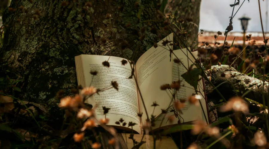 cara membangun konflik dalam novel