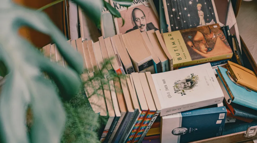 cara menulis buku biografi