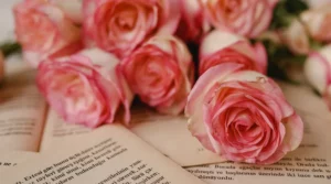 puisi hari ibu yang menyentuh hati