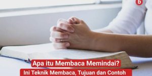 apa itu membaca memindai