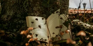 cara membangun konflik dalam novel