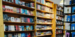 cara membuat judul novel