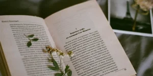 menulis cerpen dapat uang