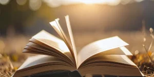 novel komedi