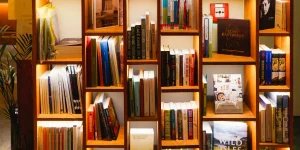 penerbit yang menerima naskah pemula