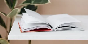 struktur fisik puisi